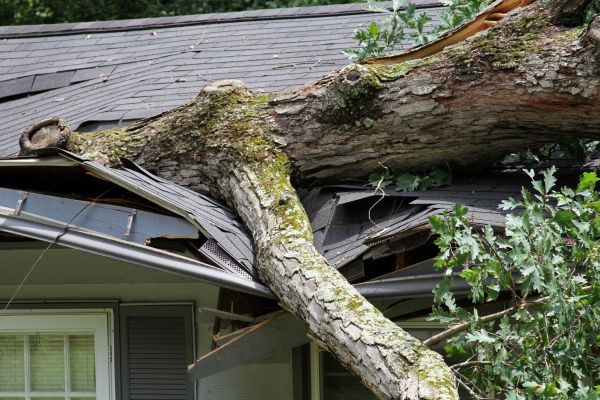 Storm Remediation in Owings Mills
