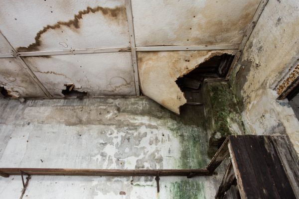 Water Damage Service in Owings Mills