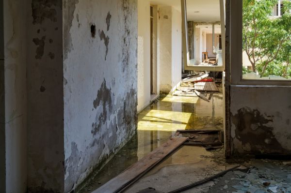 Water Removal Service in Owings Mills