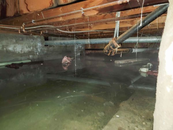 Water Mitigation Service in Owings Mills