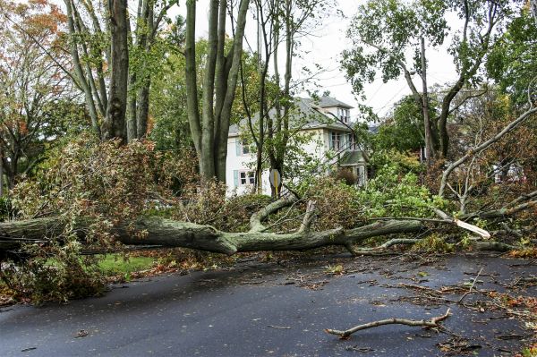 Tornado Damage Repair in Owings Mills
