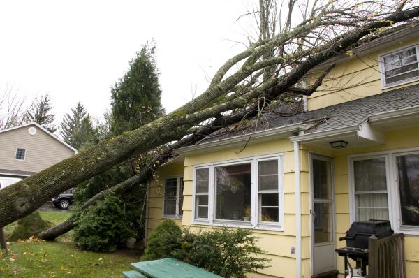 Hurricane Damage Repair in Owings Mills